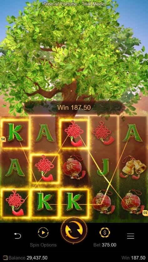 รีวิว Tree Of Fortune